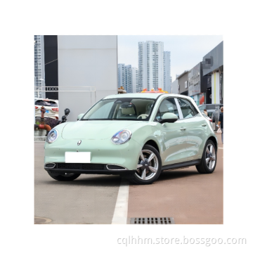 Changcheng-Ora Good Cat EV Parti EV Sospensione MAT TRIPILE KIT CORPO 500 CONSOLE GWM Auto Electric Auto Electric